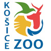zooke mini